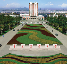 李春聲（青島半島網(wǎng)絡(luò)董事長(zhǎng)）做主題報(bào)告